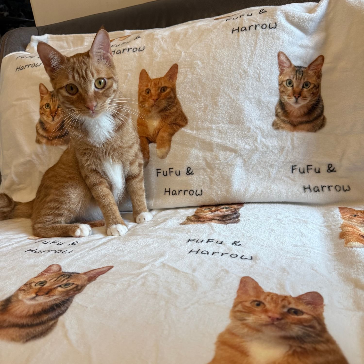 Custom Pet Flannel blanket