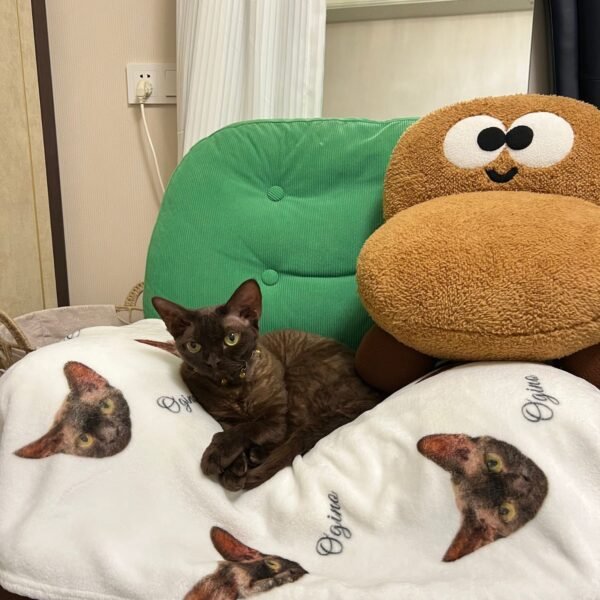 Custom Pet Art Blanket - Image 3
