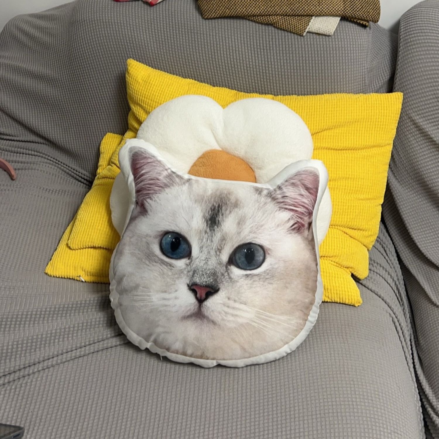 Custom Pet Pillow